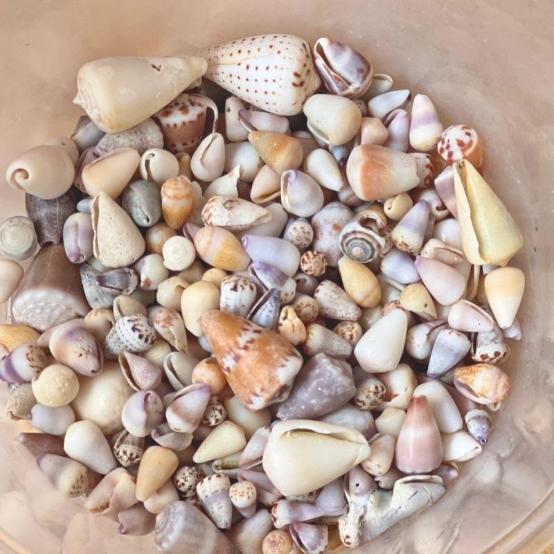 Handgemachter Mini-Muschel-Fotorahmen & Aquariumdeko