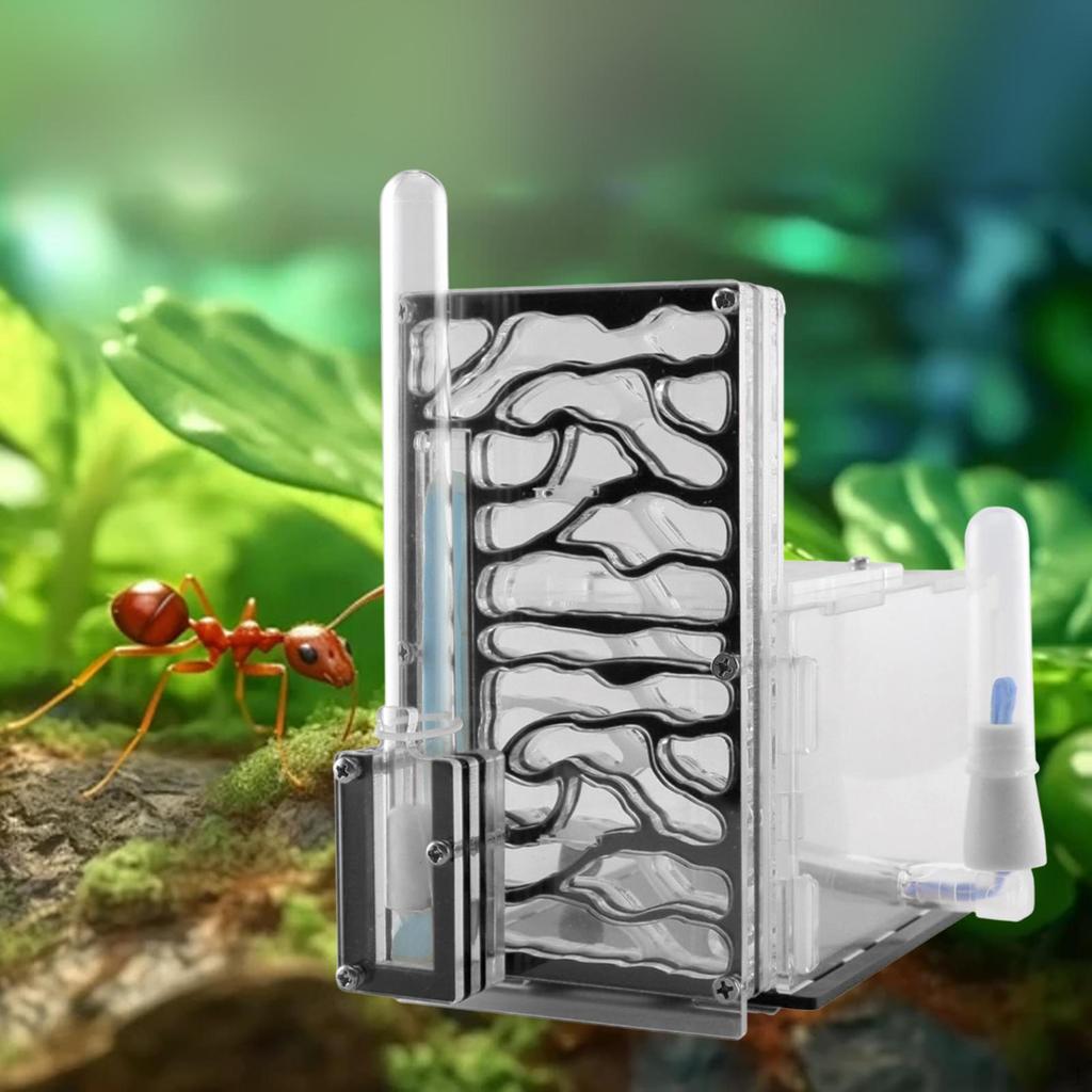 Compact DIY Moisture Nest Box for Science Observation Living Room Home Kitchen