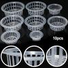 Plastic Net Pot Style Basket for Soilless Cultivation of Leafy Greens Fruiting Plants and Microgreens In Indoor Setups