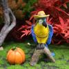 Micro Pumpkin Parrot Landscape Resin Handicraft Animal Ornaments Gift Decor