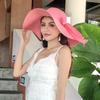 Straw hat beach big brim hat sun hat small fresh trendy girl versatile face cover sun hat