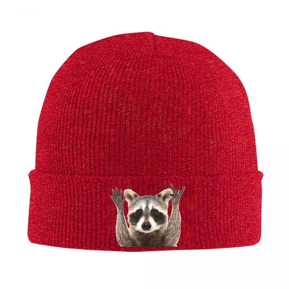 New Raccoon Rock Sign Knitted Hat Womens Unisexs Beanies Autumn Winter Hat Acrylic Cute Animal Hip Hop Caps