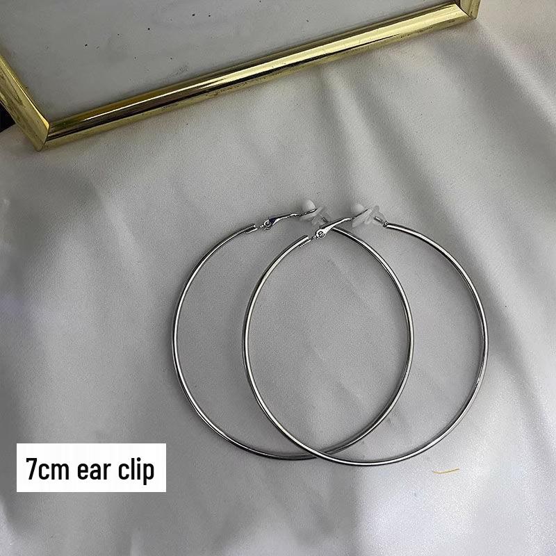 Women's High-End Plain Hoop Earrings: Light Luxury Ear Drops & Studs, Niche Design for Autumn/Winter.