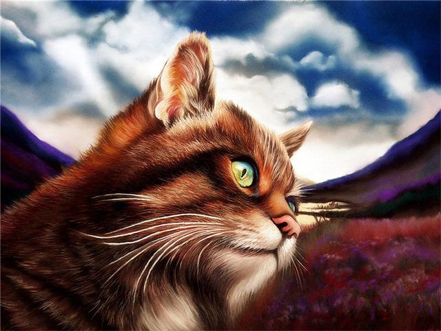 Pictură cu diamante 5d, nou sosiri, pisică drăguță, broderie cu diamante lucrată manual, mozaic de animale, cadou complet rotund/pătrat, decor acasă