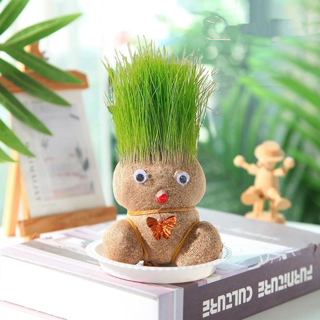 Grow Your Own Hair! Magical Grass Head Doll – Kids’ Eco Gardening Toy