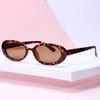 Small Oval Frame Sun Glasses Retro Summer Sunglasses for Women  Fashion Shades Polarized Eyewear UV400 Sun Glasses
