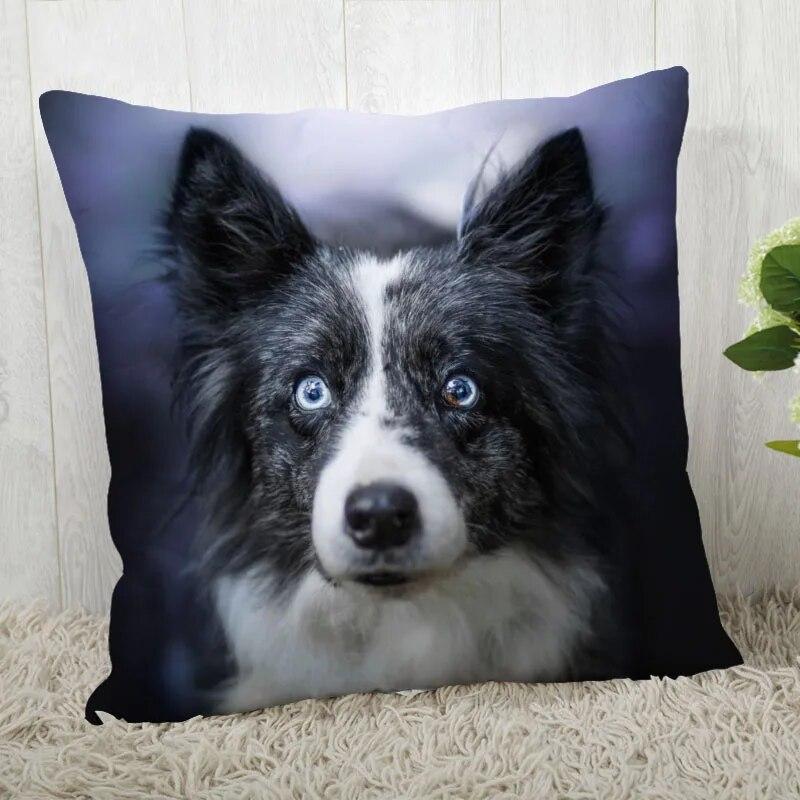 Pillowcase Border Collie  Modern Home Living Room Decor