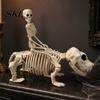 Halloween Yard Decoration Decoration, Skeleton Riding Dog Statue, 52cm Large Bone Figure for Texture Decor Display, Spooky Child Hound Haunted