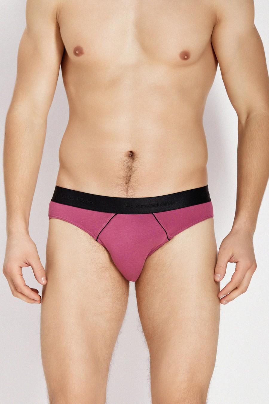 

Труси сліп Anabel Arto (67701) 50(L) вероніка кольору