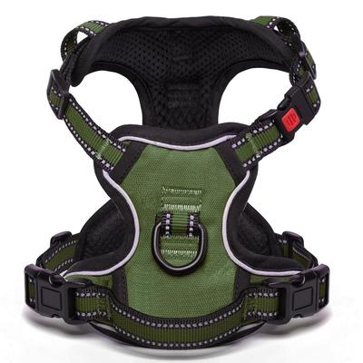 Hunde – Hundehalsbänder & Leinen