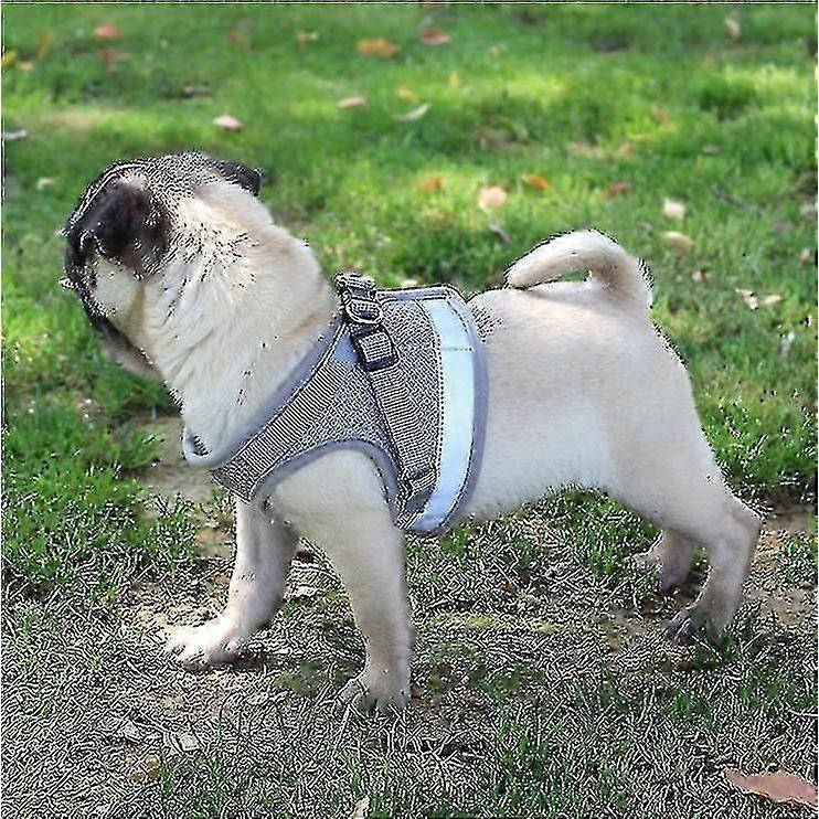 Cat Harness, Cat Harness Escape Proof