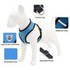 Breathable Mesh Pet Harness Leash Set with Reflective Straps for Chihuahua York Bulldog Adjustable Dog Chest Strap Walking Leash