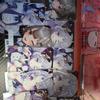 Selling 11 Stellar Live Star Trail Photocards As a Set