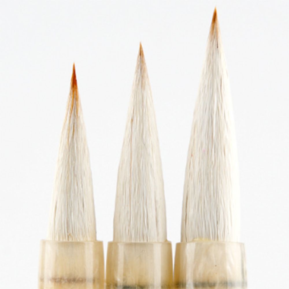 Multifunction Watercolor Painting Brush Pen Traditional Hand Lettering Pens  Beginner