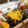 3D-printed Bee Water Station with Stick Eco-friendly Beekeeping Insect Cup for Yard Use