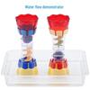 Water Flow Demonstrator for Kindergarten: Science Area Play & Teaching Aids, Sizes Large, Medium, Small