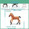 Realistic Pvc Belgian Foal Model Toy Beautifully Crafted Purebred Horse Figurine