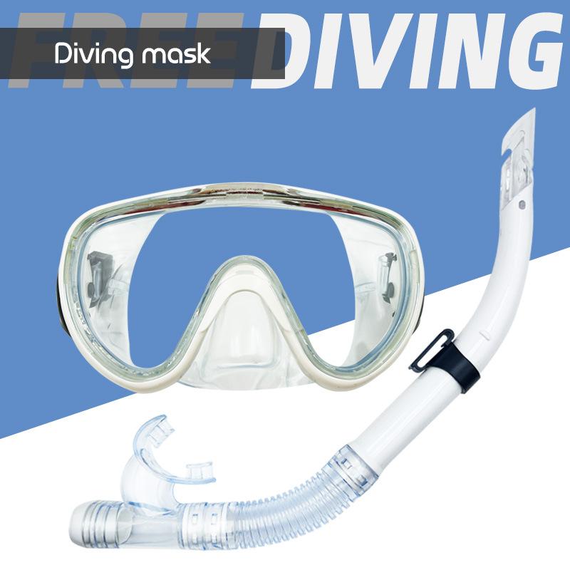 Droog Snorkel Set voor Volwassenen Jeugd Droog Bovenstuk Snorkel Duikmasker met Neuskap Anti-Mist 180° Breed Zicht Spiegelend Glas Snorkeluitrusting voor Mannen Vrouwen
