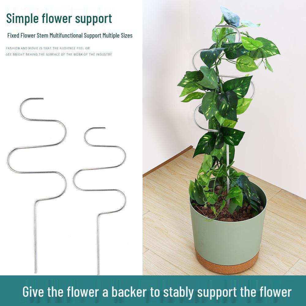 Stainless Steel Indoor Plant Support Frame with Leaf Protector