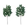 iMedia Sakaki Trees for Shinto Altars, Set of 2, Sakaki, Shinto Altar, Artificial Sakaki Flowers, for Graves, Buddhist Altars, Grave Visits, Obon, Equ