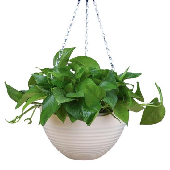 7 Stück Hängepflanzgefäße Blumentöpfe mit Drainagelöchern und Metallketten Hängende Kunststoff-Blumentöpfe für den Innen- und Außenbereich