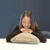 Breo Business Leisure Blanket with Massage Pillow FCB D131