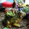Thickened Frog Flower Pot Resin Plant Planter Gardening Supplies Frog Succulent Plant Pots  Office
