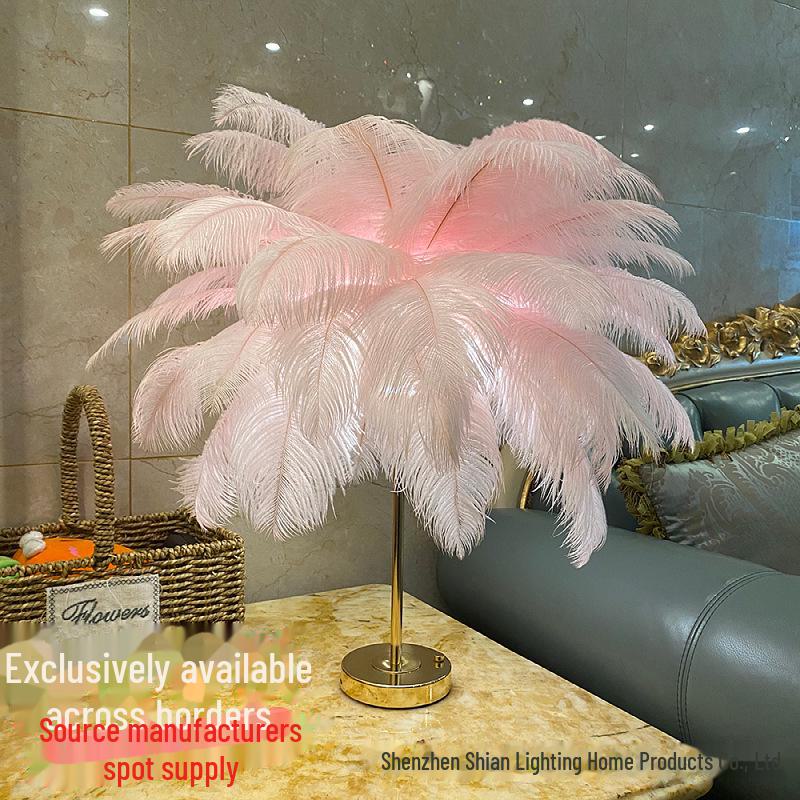 

«Ночной светильник из страусиных перьев с зарядкой через USB — теплый, атмосферный свет для спальни» Rechargeable Three-Color Dimmable