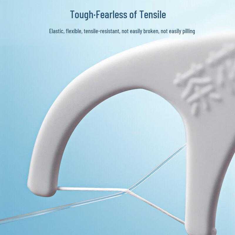Portable Disposable Dental Floss Picks