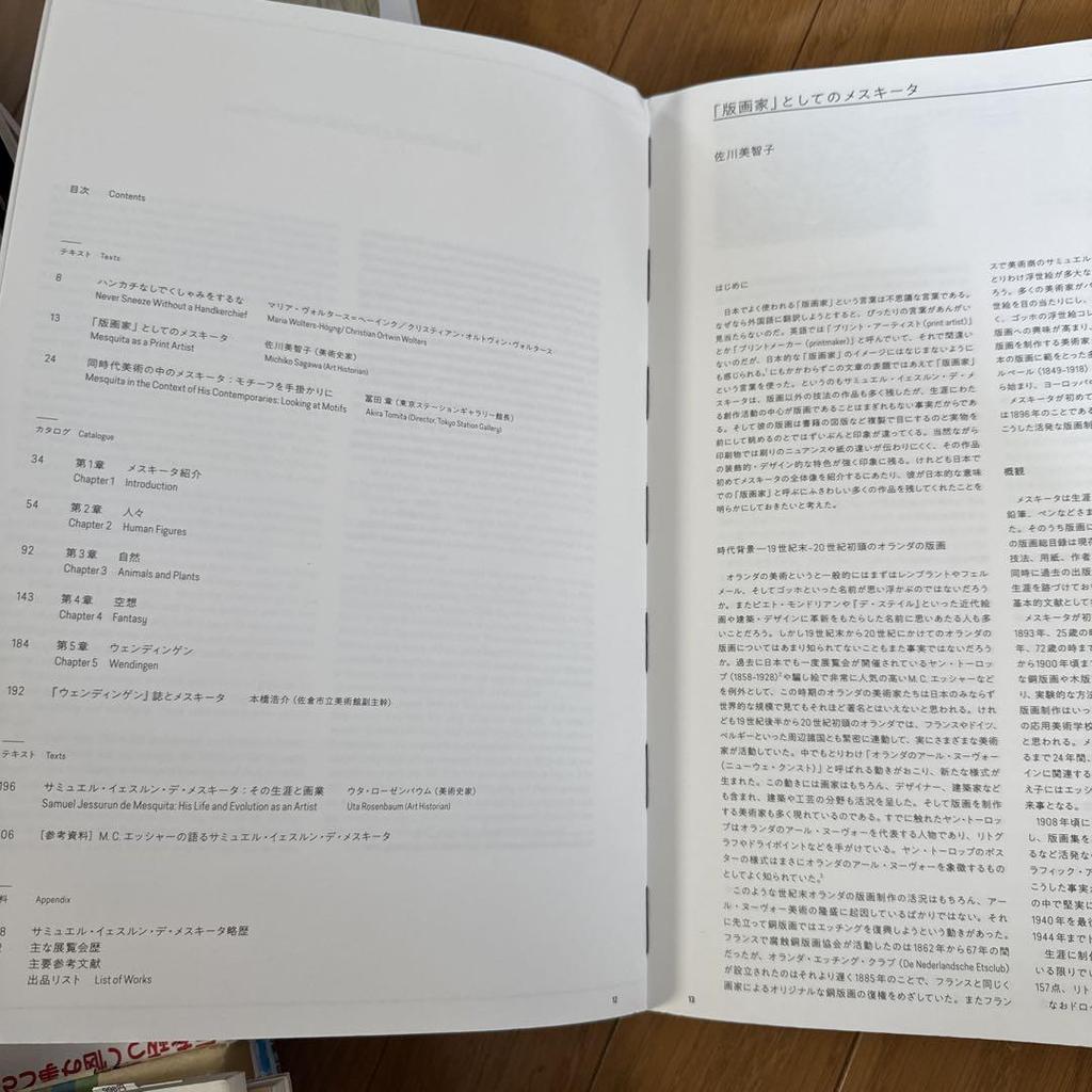 [USED] Samuel Jessurun de Mesquita Art Book