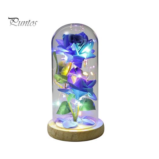 No Maintenance Flower Gift Rose Gifts for Her Mom Wife Grandma Light Up Eternal Lasting in A Dome Romantic Anniversary Birthday Valentine's