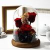 TEATSIGHT Preserved Flower Arrangement, Pre-Wrapped, Glass Pot, 5 Flowers (Red Roses)