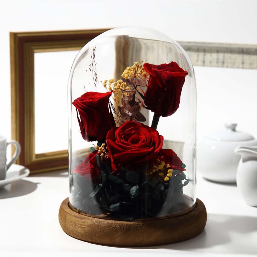 TEATSIGHT Preserved Flower Arrangement, Pre-Wrapped, Glass Pot, 5 Flowers (Red Roses)