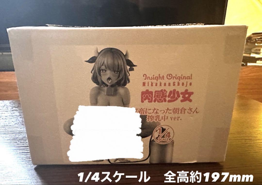 

[USED] Nikkan Girl Asakura-san 1/4 scale painted finished product