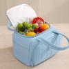 Insulated Design Insulated Lunch Bag Multip-Pocket Food Storage Handbag Picnic Bag  Daily Commute