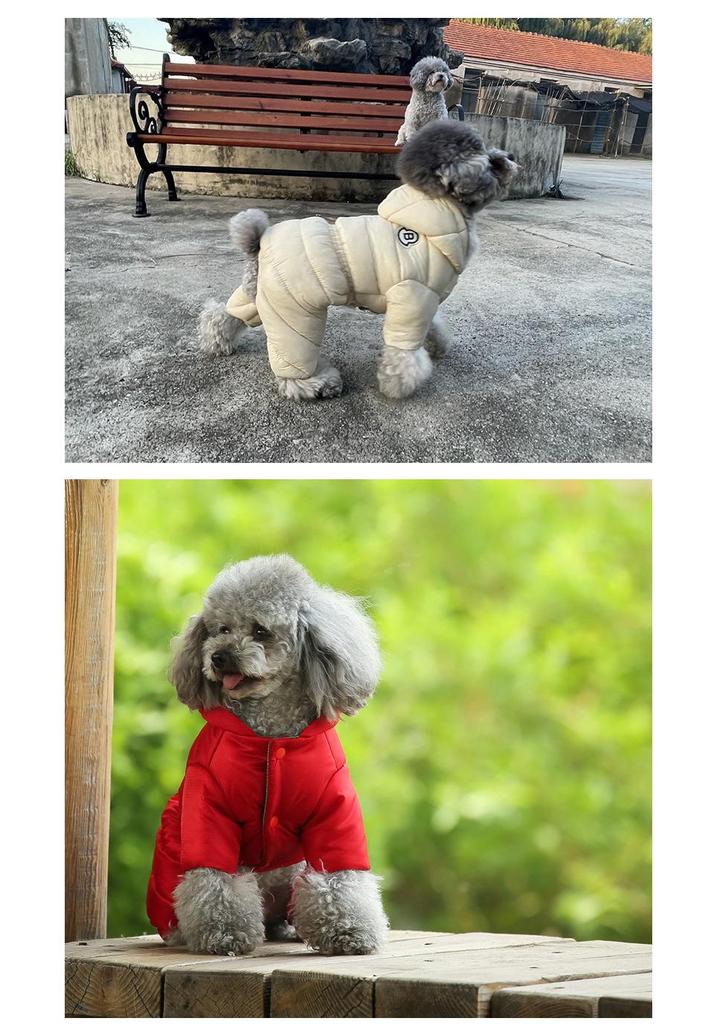 British Style Waterproof Cotton Coat for Small Dogs - Warm Four-Legged Winter Clothing for Pomeranians and Teddy Breeds
