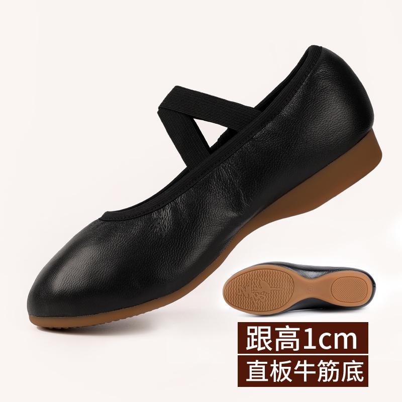 Dance Shoes for Women Two Point Flat Sole Teacher Shoes Professional Dance Shoes