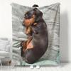 Adorable Dachshund Flannel Throw Blanket | Ultra-Soft Cozy Lightweight | All-Season Sofa Bed Cover (Multiple Sizes)