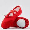 Scarpe da ballo per bambini con lacci e suole morbide, scarpe da ballo da gatto per adulti, scarpe da ballo per la pratica dello yoga