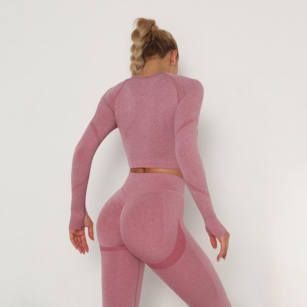 European & American Seamless Long-Sleeve Quick-Dry Yoga Top