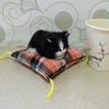 Simulation Cat Doll Plush Toy Mini Realistic Sleeping Kittens On Mat Figurine