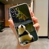 Fubao panda   Phone Case For iPhone 17 16e 16 15 14 13 12 11mini Pro Max X XR XSMAX 8 7 Air Plus Soft Cover