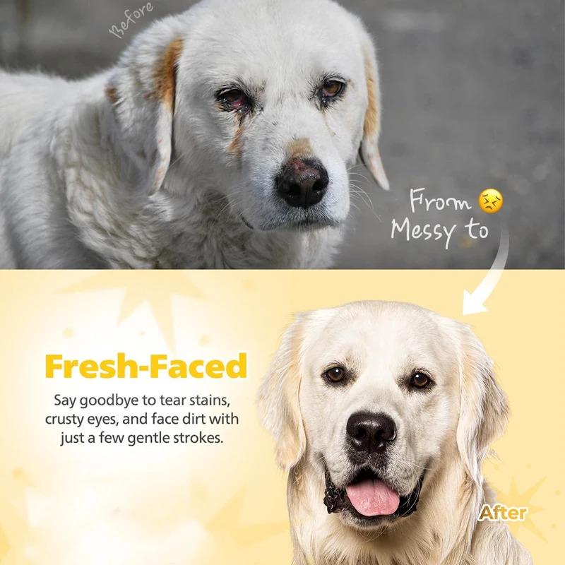 Haustier Hund Pflege Flohkamm, Gebogenes Design für Gesicht & Körper, Mini Entwirrbürste für Hunde Katzen Haustierpflege Zubehör