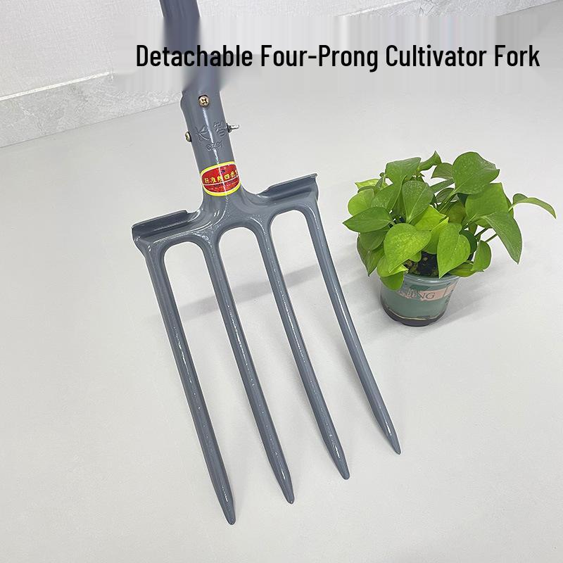 Heavy-Duty Four-Tined Steel Fork: Large Agricultural Tool for Loosening and Tilling Soil