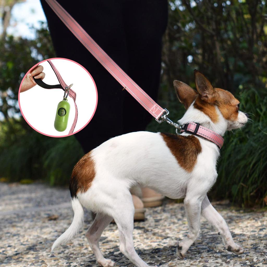 NESTROAD Dog Collar and Lead Night For Medium and Large Suitable for All Comes with For Walking and Easy to Dog Set, Adjustable, Reflective, Small,