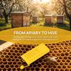 10Pcs Plastic Queen Bee Cage Durable Lightweight Queen Catcher Cage Yellow Portable Plastic Queen Cage Queen Introduction