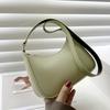 Stylish Minimalist Spring Summer Women's Small Crossbody Bag In Chic Colors