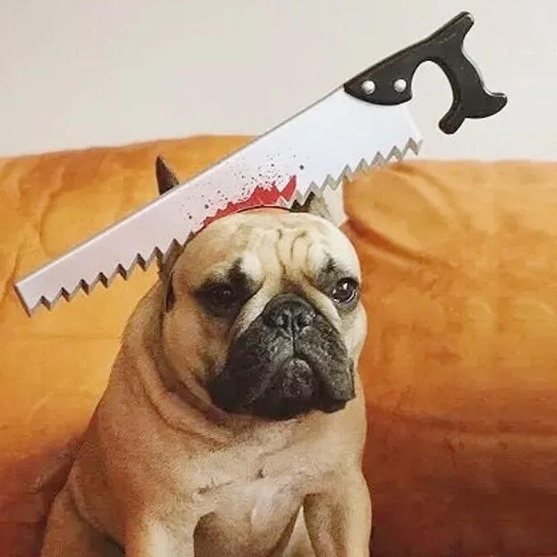 Gatto/Cane/Animale Domestico Halloween Nuovo Divertente Horror Giocattolo Trucco Palla Scena Performance Assi Sega Chiodo Coltello Copricapo Scena di Sangue Festa Amato