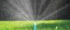 SPRING HOSE 7.5MN - C 19-021N