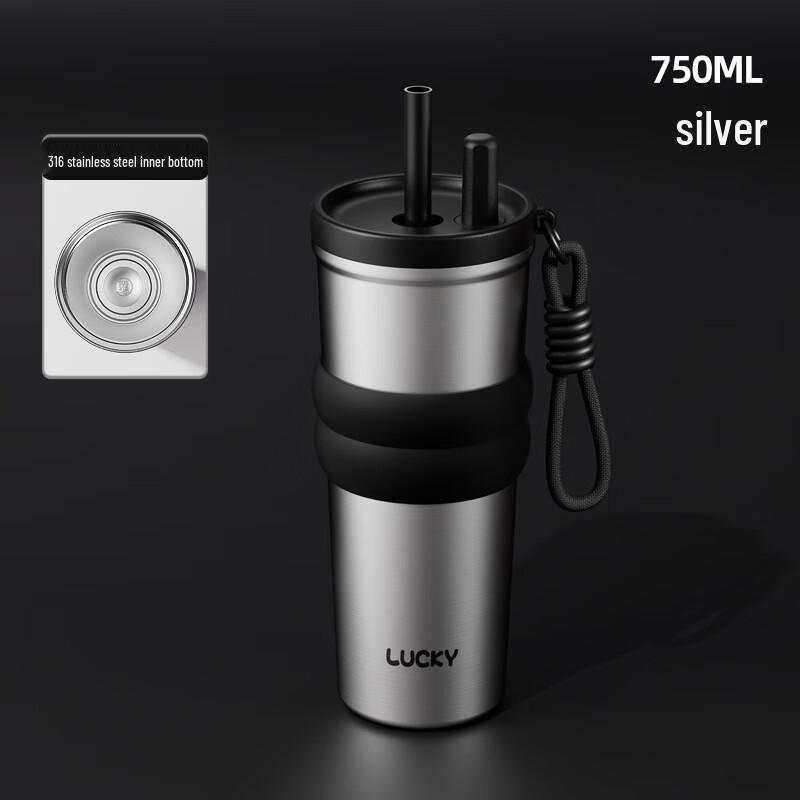 HDST 316 Stainless Steel Insulated Straw Tumbler